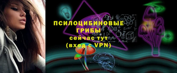 mix Алексин