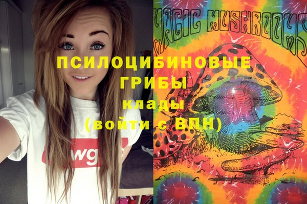 стафф Алексеевка