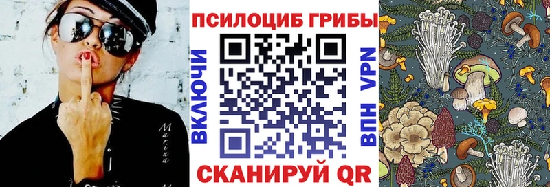 Псилоцибиновые грибы MAGIC MUSHROOMS Дубовка