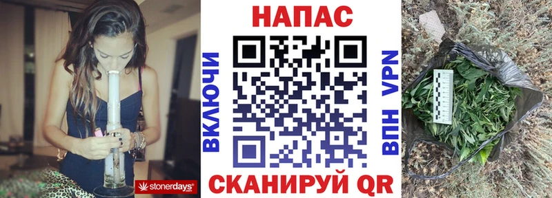 где найти наркотики  Дубовка  Бошки Шишки Amnesia 